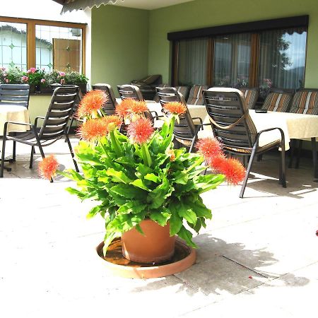 Gaestehaus Steininger Zwiesel Ngoại thất bức ảnh