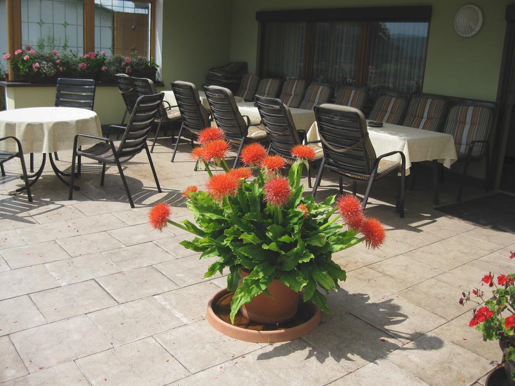 Gaestehaus Steininger Zwiesel Ngoại thất bức ảnh