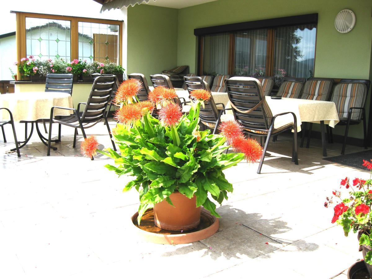 Gaestehaus Steininger Zwiesel Ngoại thất bức ảnh